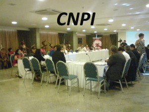 Reunião da Comissão Nacional de Política Indigensta